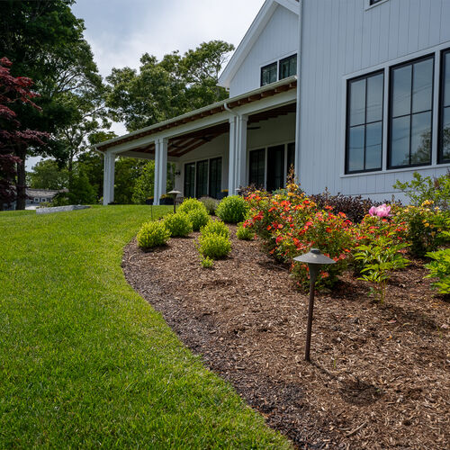 Cms landscape nature guard cape cod 06