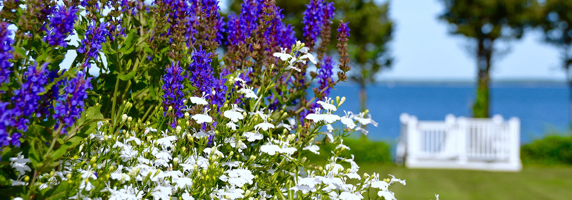 CMS Landscaping