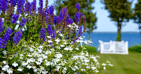 CMS Landscaping