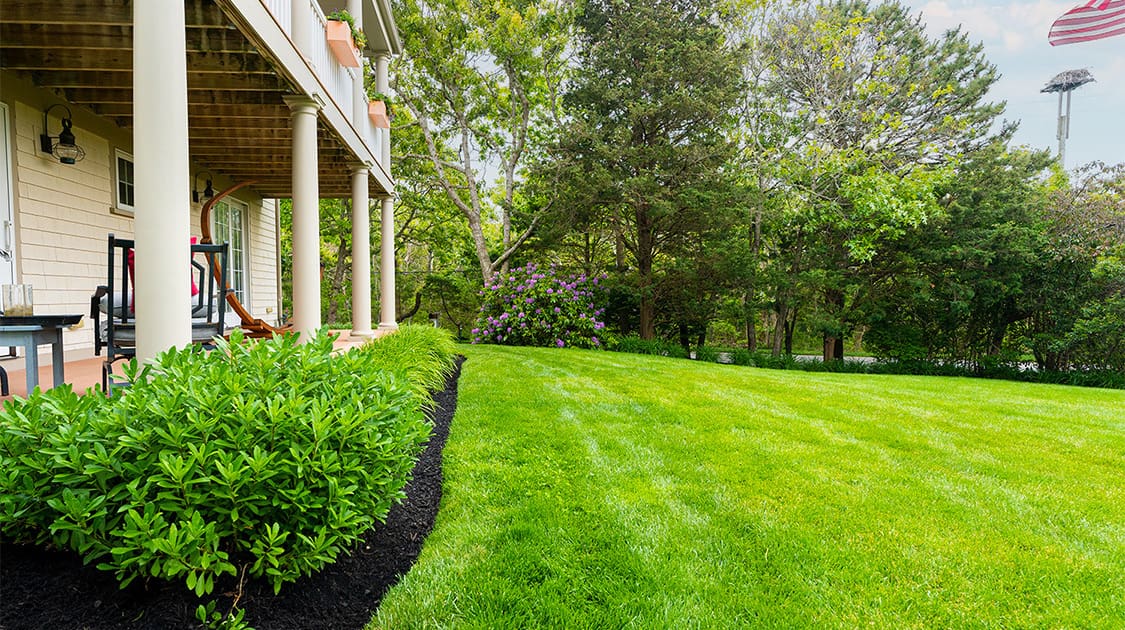CMS Landscape 5 of the BEST Outdoor Features for Cape Cod Homes, a new blog post from CMS Landscape