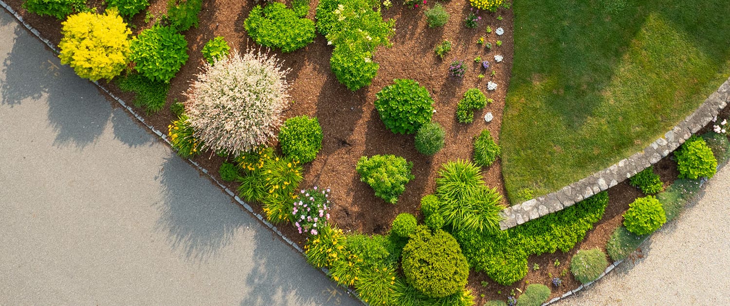 CMS Landscape A beautiful landscaping project built, designed, and maintained by CMS Landscape