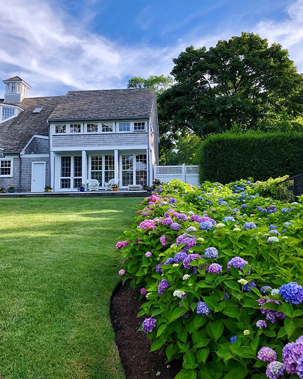 CMS Landscape A beautiful landscaping project with blooming flowers, built, designed, and maintained by CMS Landscape