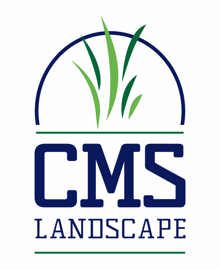 CMS Landscape