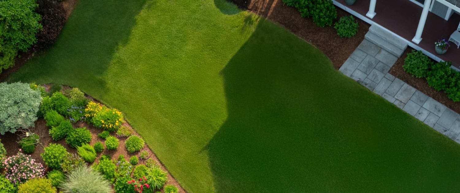 Spring Awakening, a new blog post from CMS Landscape.