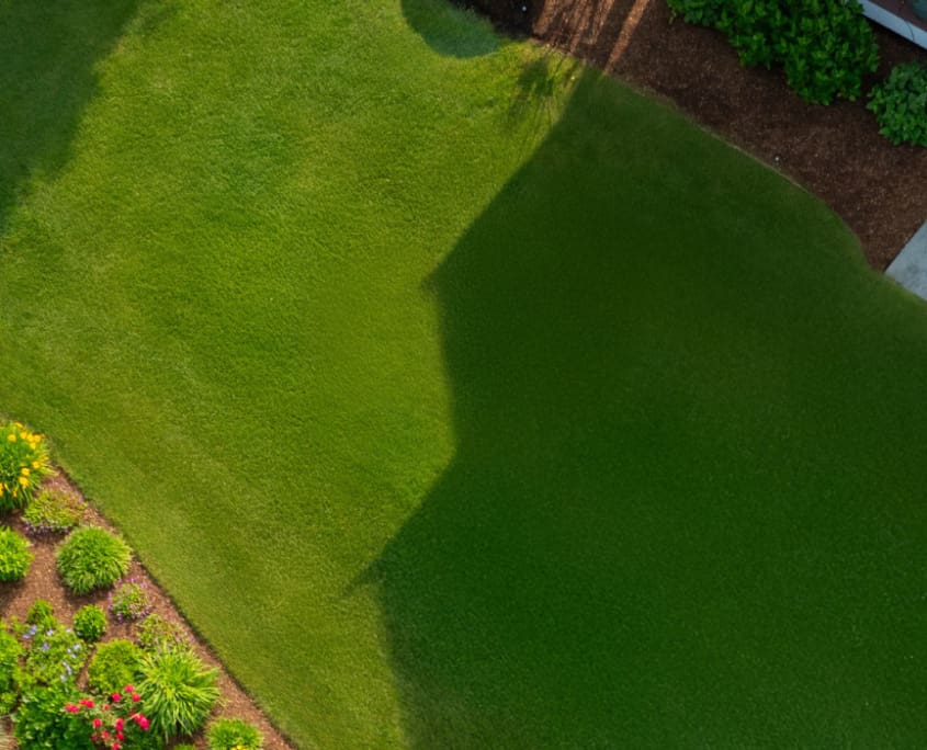 Spring Awakening, a new blog post from CMS Landscape.