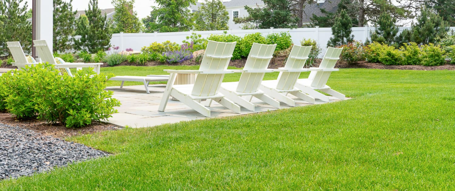 CMS Nature Guard, a new blog post from CMS Landscape.