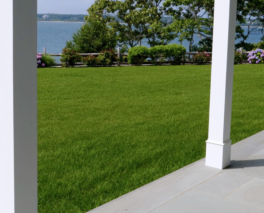 The Art of Coastal Landscaping: Protecting Your Waterfront Property from the Elements, a new blog post from CMS Landscape.