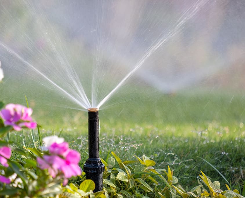 Fall Plant Care After Drought: Why Now Is the Most Important Time to Act, a new blog post from CMS Landscape