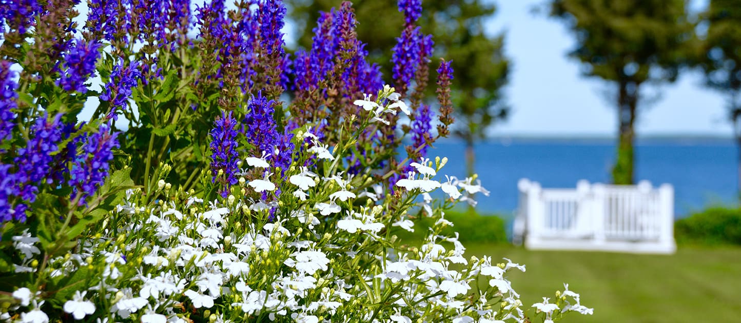 A beautiful landscaping project with views of the water, built, designed, and maintained by CMS Landscape
