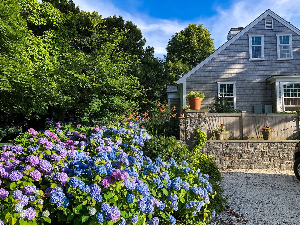 CMS Landscape Timeless Elegance, Decades in the Making, a new project feature from CMS Landscape. This Cape Cod estate features a beautiful landscaping project with gorgeous plants and flowers throughout, and a historic lesson from the founding era of the country.