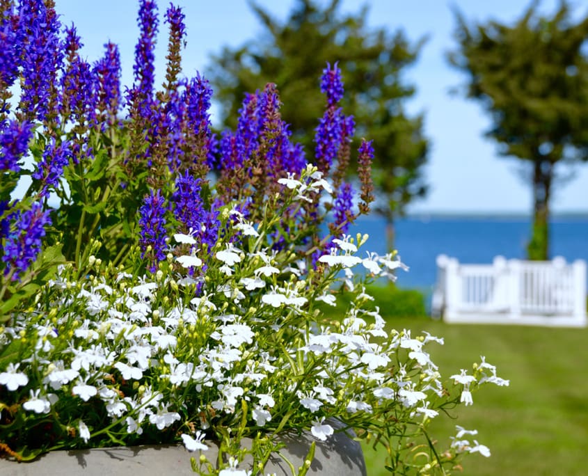 A beautiful landscaping project with views of the water, built, designed, and maintained by CMS Landscape