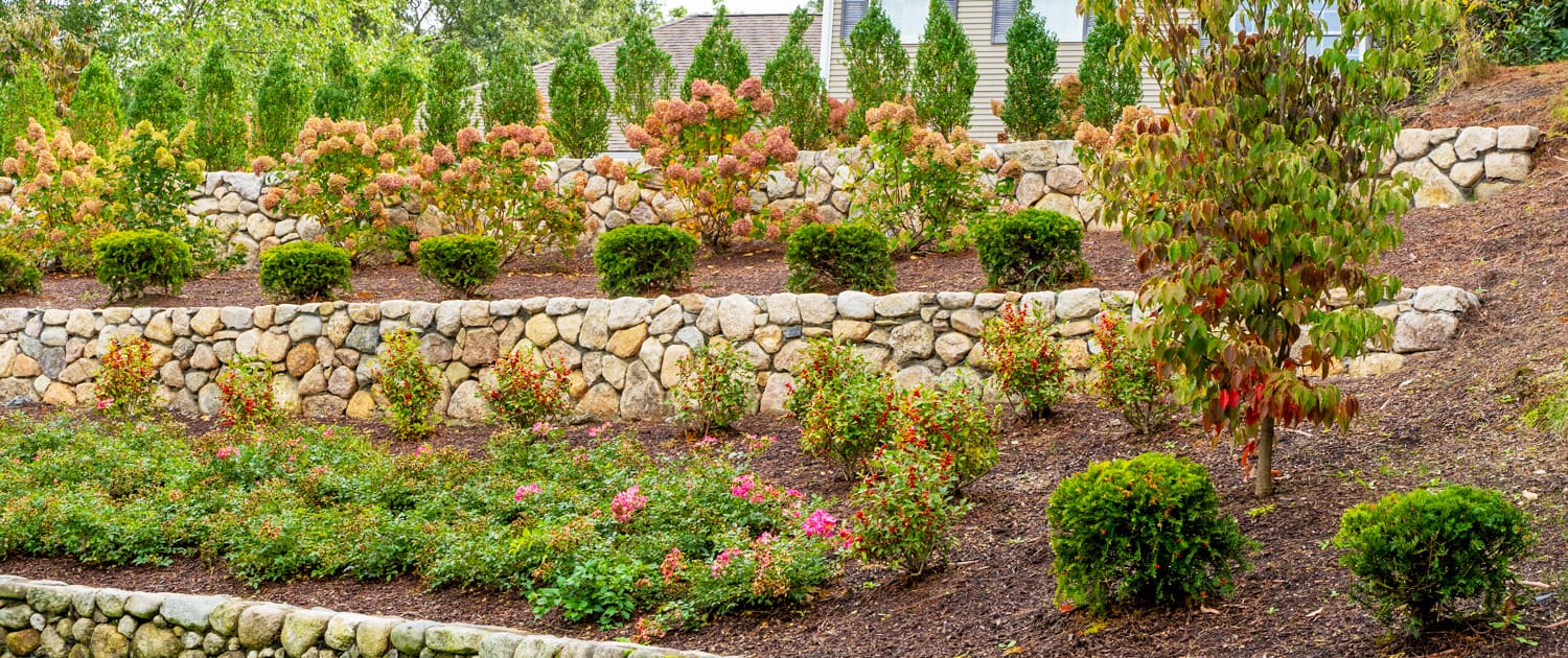 A retaining wall with beautiful plants and flowers, designed and built by CMS Landscape