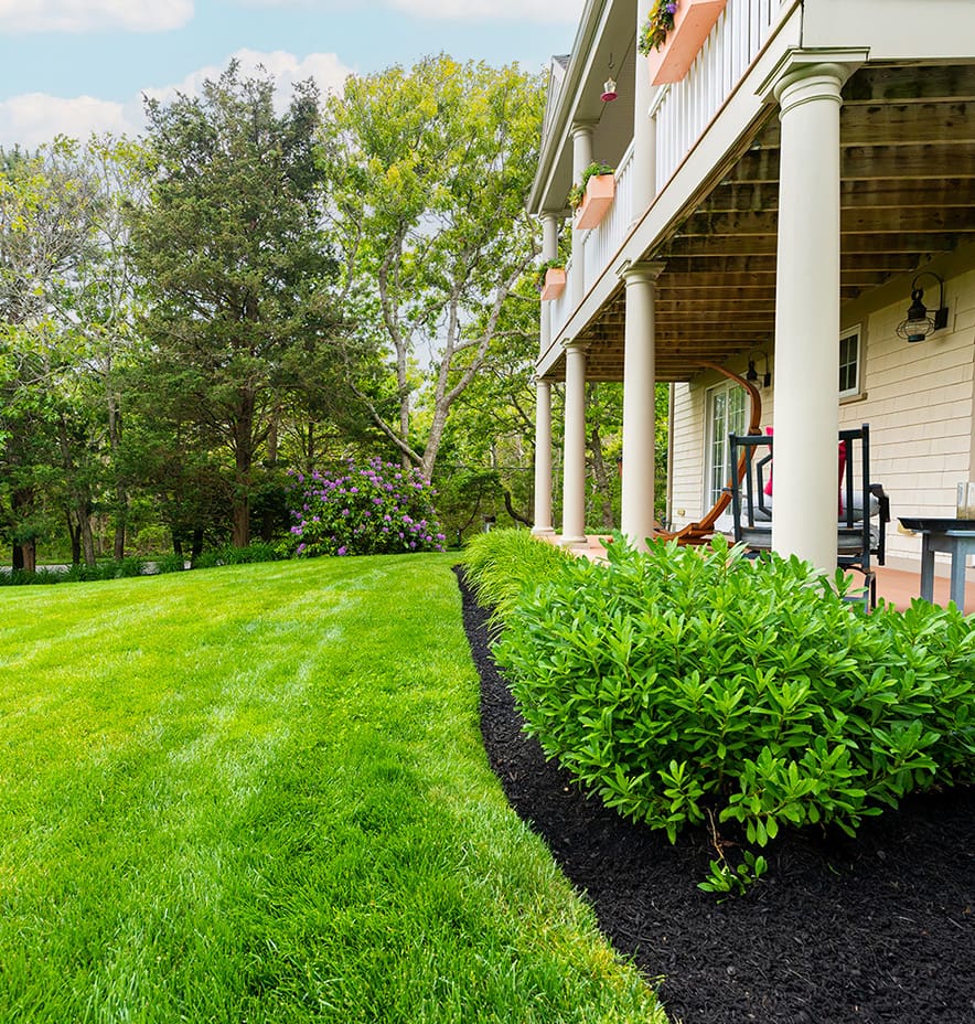 CMS Landscape A beautiful landscaping project built, designed, and maintained by CMS Landscape