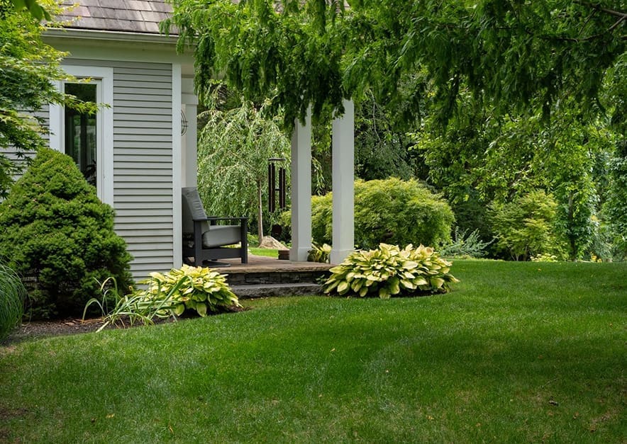 A gorgeous lawn and flower bed, part of a property managed by CMS Landscape