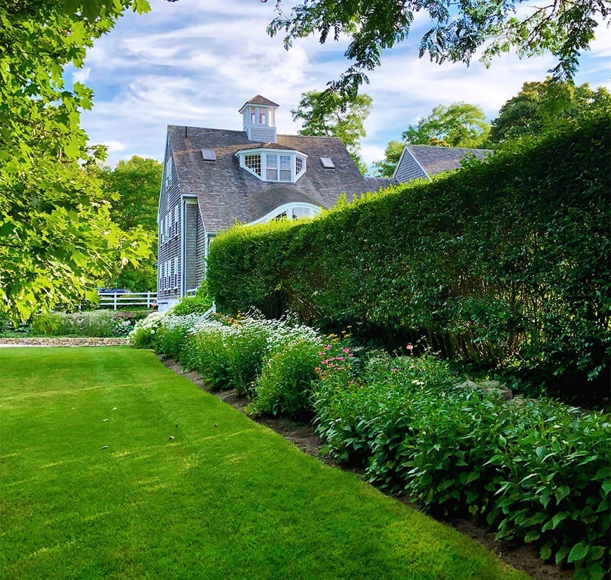 A large hedge wall lines this property managed by CMS Landscape