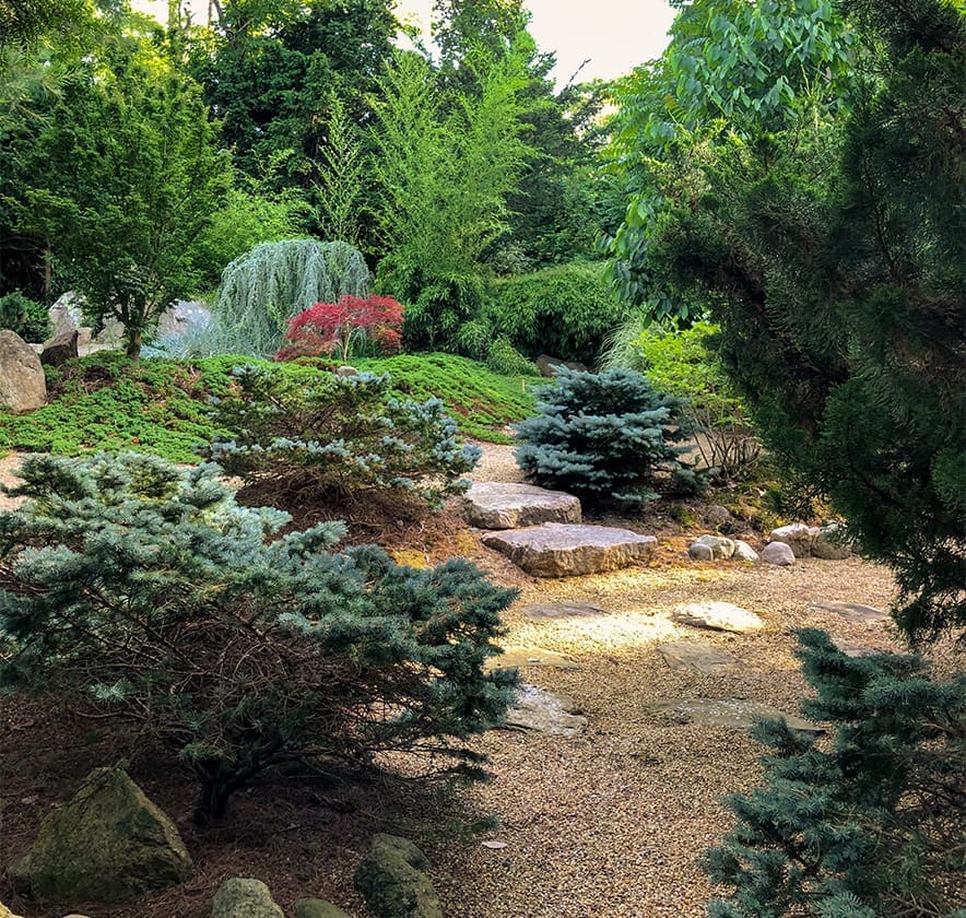 CMS Landscape manages properties of all kinds, including unique wooded areas like this one.