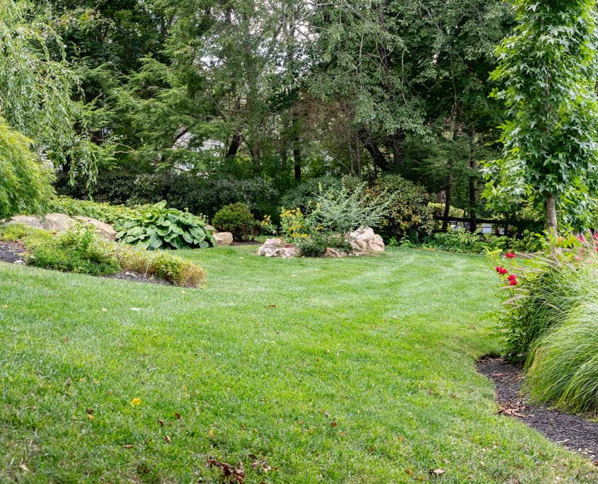 Organic Lawn Care in Cape Cod: Discover the Nature Guard Advantage, a new blog post from CMS Landscape