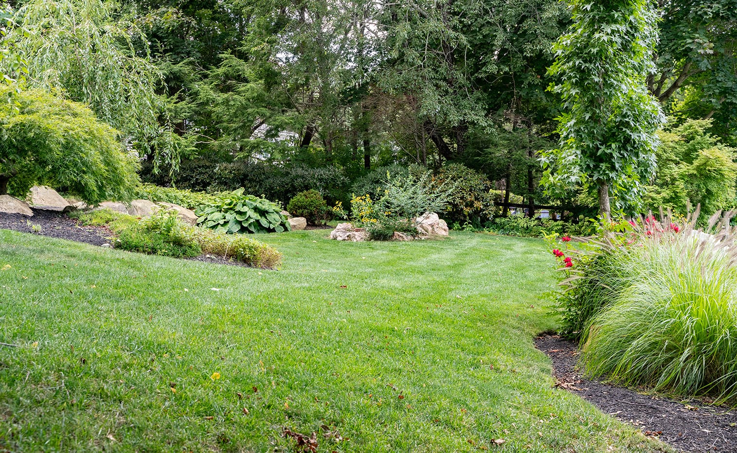 Organic Lawn Care in Cape Cod: Discover the Nature Guard Advantage, a new blog post from CMS Landscape